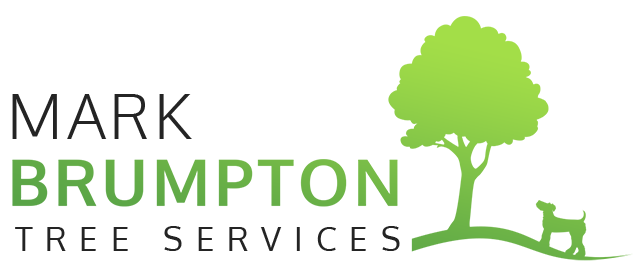 Mark Brumpton Tree Services